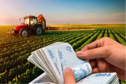 1,3 milyar TL'lik tarımsal destek ödemeleri hesaplarda