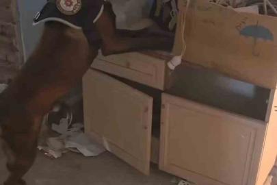 Bingöl’de 3 kilo esrar ele geçirildi