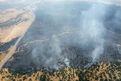 Elazığ’da kırsalda başlayan yangın ormanlık alana sıçradı: Müdahale sürüyor