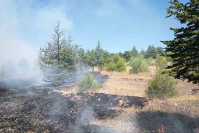 Elazığ’da örtü yangını