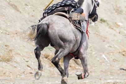 Erzincan’da Atlı Cirit Türkiye Şampiyonası ön eleme müsabakaları tamamlandı