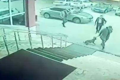 Erzurum Palandöken Kaymakamı ve korumasına soruşturma açıldı