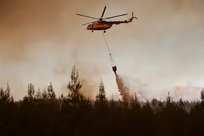 Orman yangınlarına müdahalede yetersizlik iddialarına DMM'den yanıt