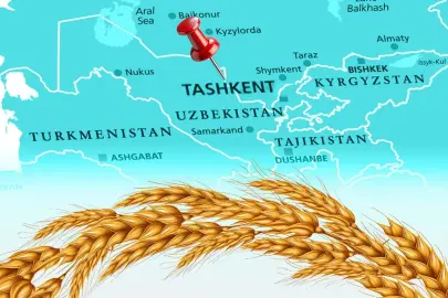 Türkiye un ihracatında 12. şampiyonluk hedefini koydu... Tahıl sektörü Taşkent'te buluşuyor