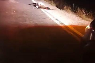 Yüksekova’da sürüye otomobil çarptı: 4 koyun telef oldu